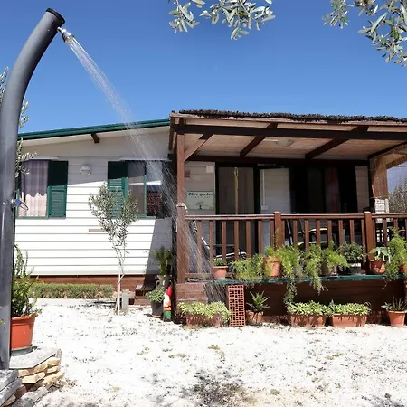 Vakantiepark Olive garden mobil home - Trogir *