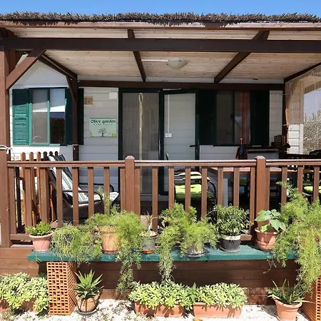 Vakantiepark Olive garden mobil home - Trogir *